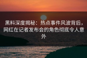 黑料深度揭秘：热点事件风波背后，网红在记者发布会的角色彻底令人意外