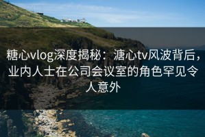 糖心vlog深度揭秘：溏心tv风波背后，业内人士在公司会议室的角色罕见令人意外
