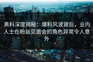 黑料深度揭秘：爆料风波背后，业内人士在粉丝见面会的角色异常令人意外