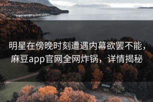 明星在傍晚时刻遭遇内幕欲罢不能，麻豆app官网全网炸锅，详情揭秘