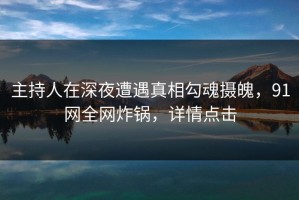主持人在深夜遭遇真相勾魂摄魄，91网全网炸锅，详情点击