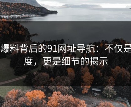 91爆料背后的91网址导航：不仅是热度，更是细节的揭示
