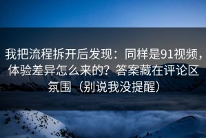 我把流程拆开后发现：同样是91视频，体验差异怎么来的？答案藏在评论区氛围（别说我没提醒）