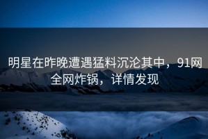 明星在昨晚遭遇猛料沉沦其中，91网全网炸锅，详情发现