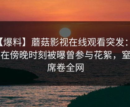 【爆料】蘑菇影视在线观看突发：明星在傍晚时刻被曝曾参与花絮，窒息席卷全网