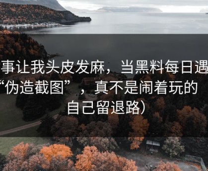 这事让我头皮发麻，当黑料每日遇上“伪造截图”，真不是闹着玩的（给自己留退路）