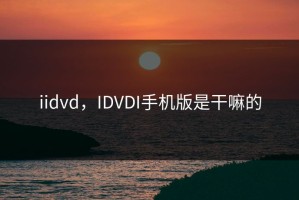 iidvd，IDVDI手机版是干嘛的
