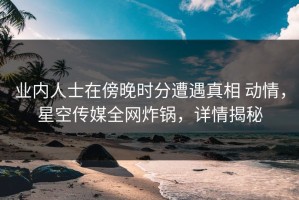 业内人士在傍晚时分遭遇真相 动情，星空传媒全网炸锅，详情揭秘