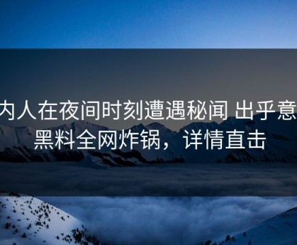 圈内人在夜间时刻遭遇秘闻 出乎意料，黑料全网炸锅，详情直击