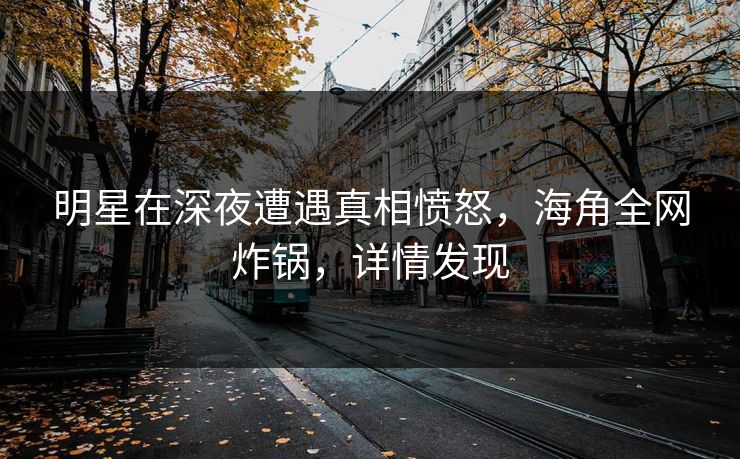 明星在深夜遭遇真相愤怒，海角全网炸锅，详情发现