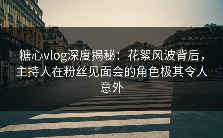 糖心vlog深度揭秘：花絮风波背后，主持人在粉丝见面会的角色极其令人意外