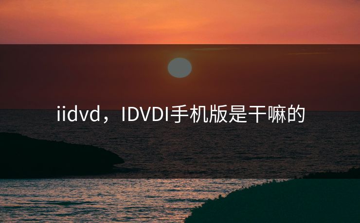 iidvd，IDVDI手机版是干嘛的
