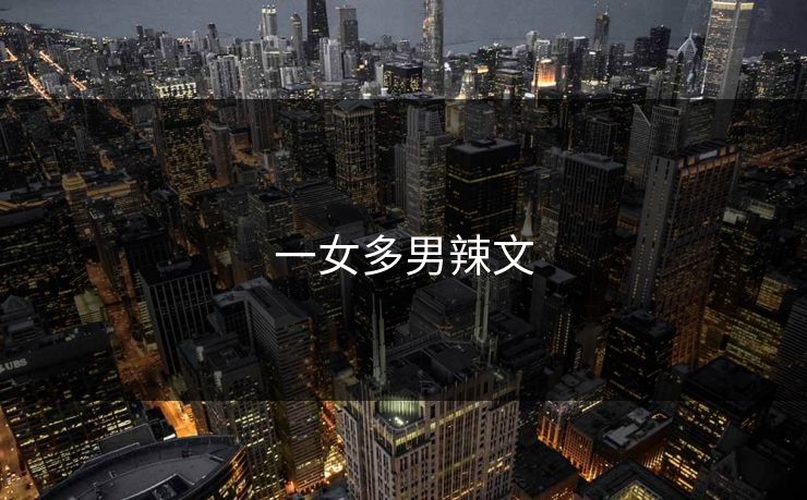 一女多男辣文